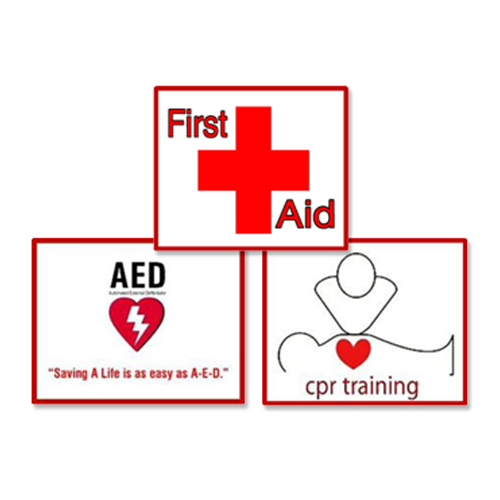 CPR/AED for Professional Rescuers and Health Care Providers AND Responding  to Emergencies First Aid